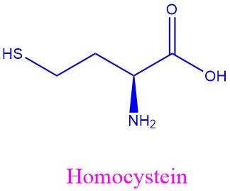 Homocystein formel
