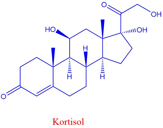 Kortisol kjemisk formel