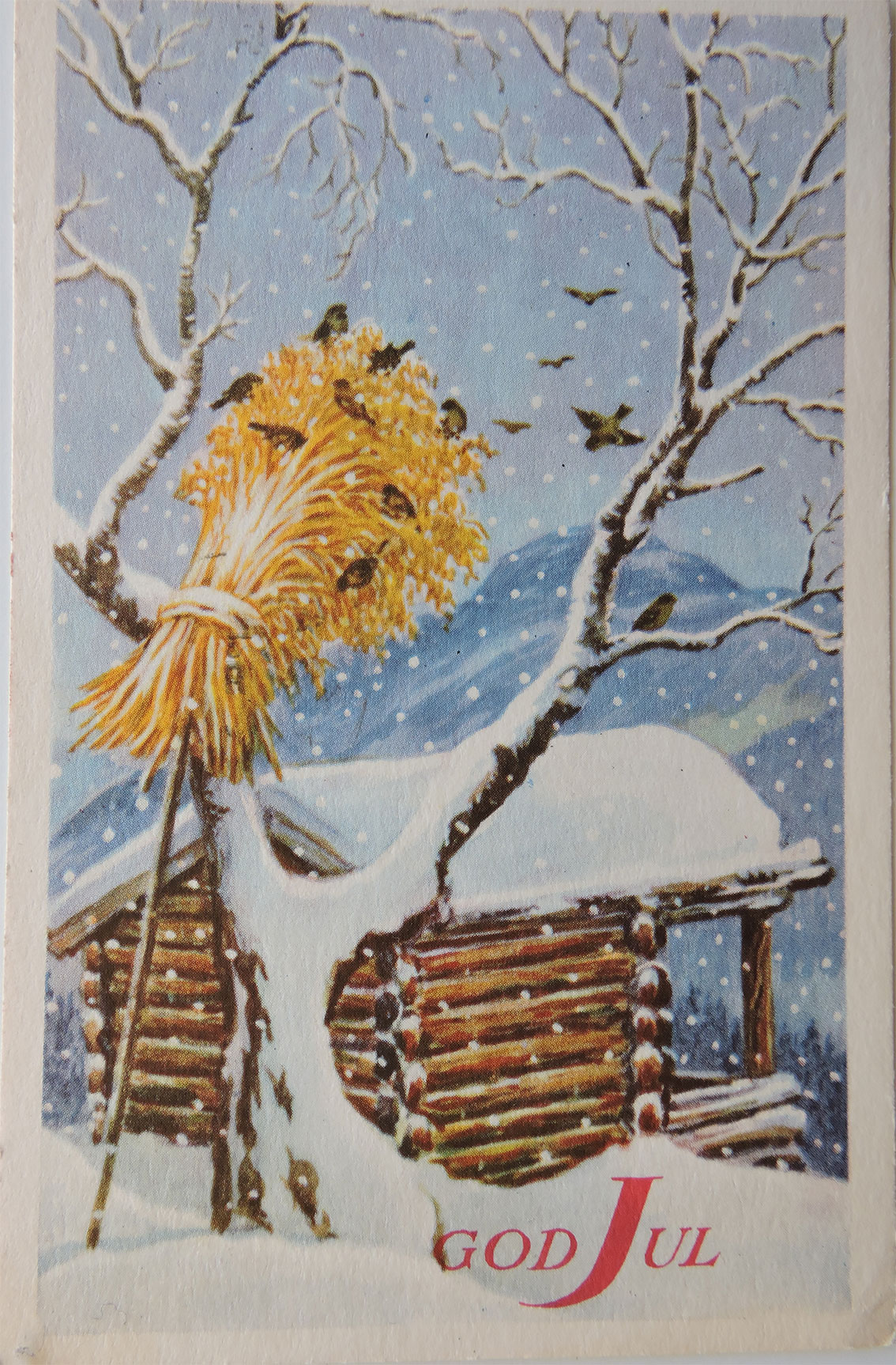 Fuglenek postkort