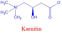 Karnitin
