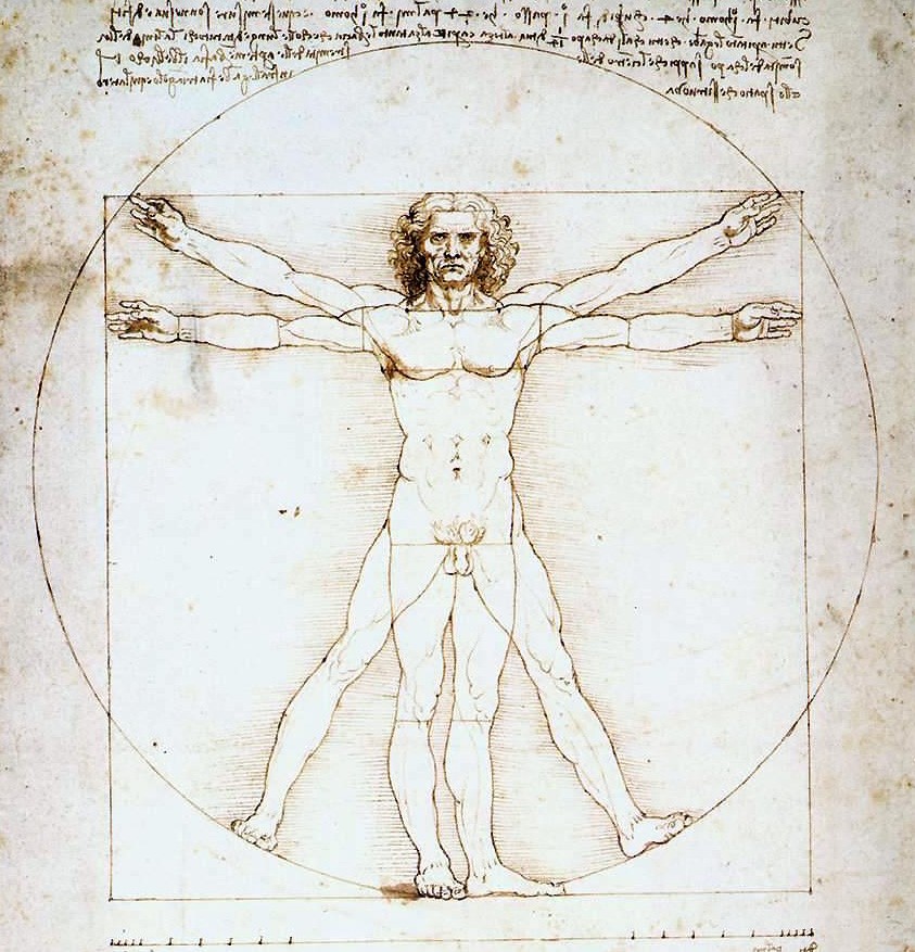 Lenardo da Vinci den vitruviske mann