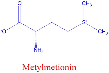 Metylmetionin