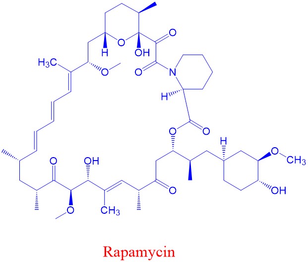 Rapamycin