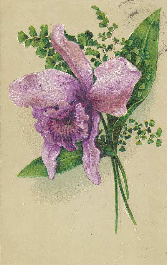 Blomst postkort
