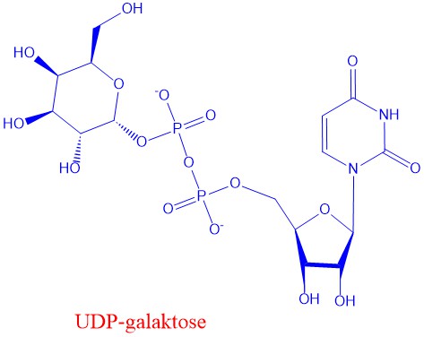 UDP-galaktose