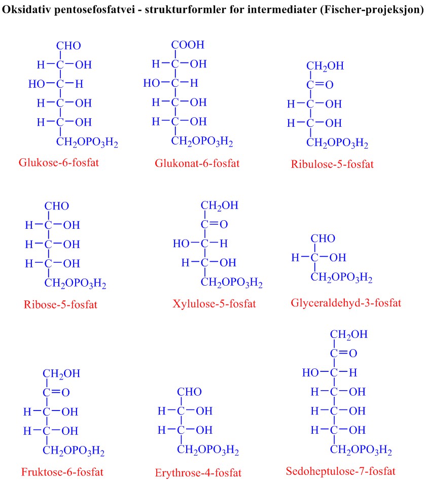 Formler oksidativ pentosefosfatvei