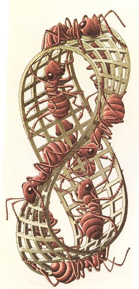 Escher maur