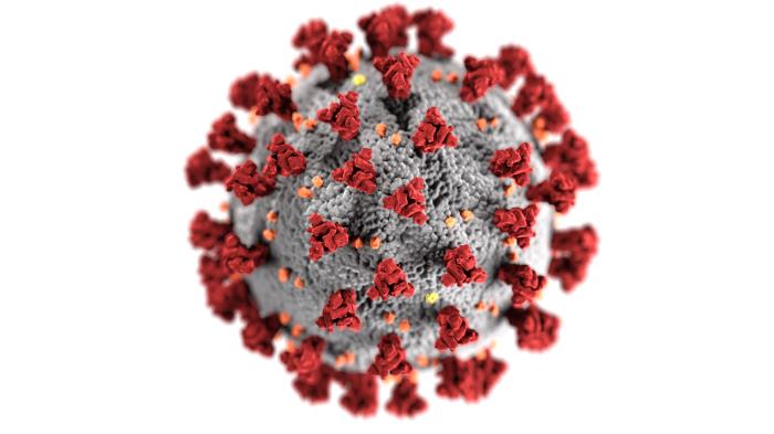 SARS-Cov-2 virus model
