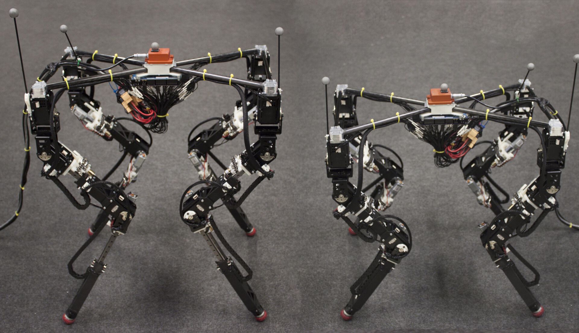 The DyRET legged robot available for master's thesis work at ITS