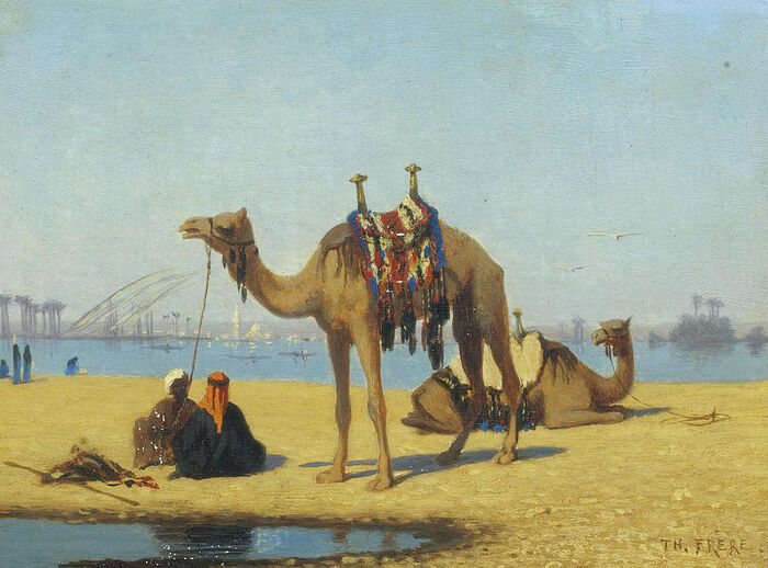 Bildet kan inneholde: himmel, vann, kamel, økoregion, virveldyr.