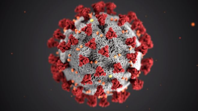 Illustration of the Corona-virus. White ball with red spikes.