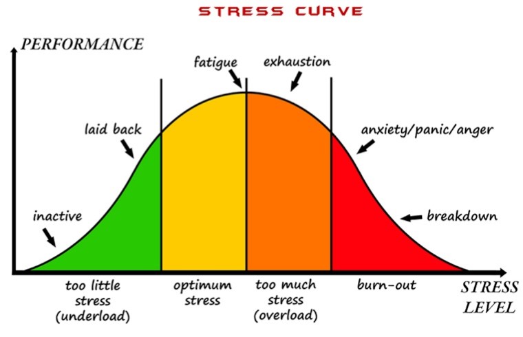 curve showing healthy and unhealthy stress